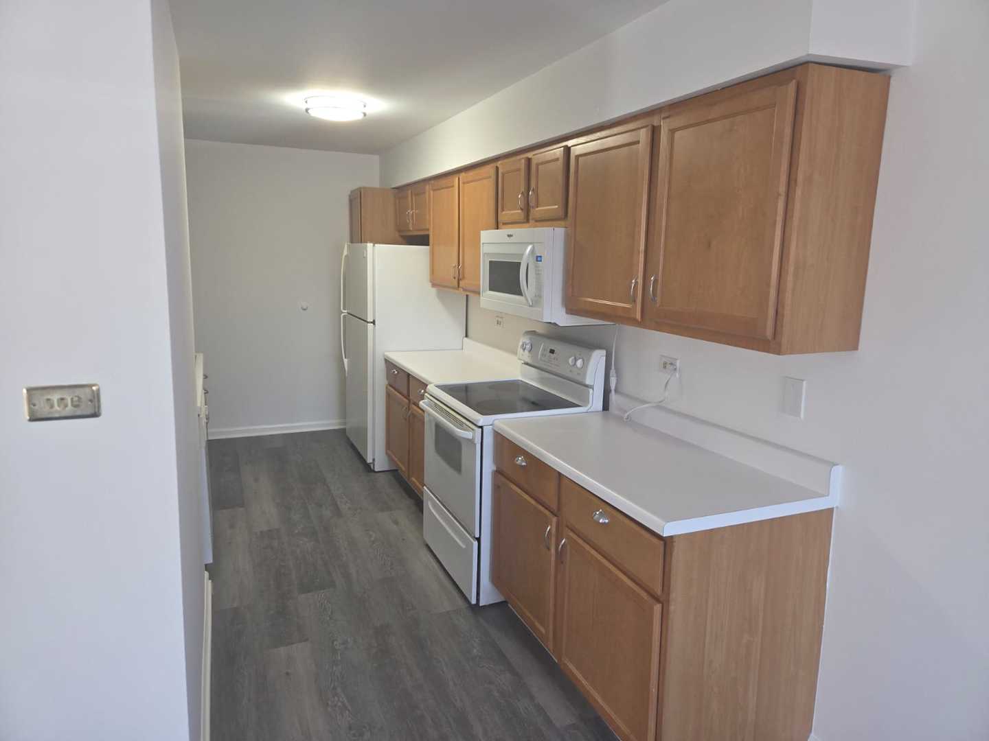 3360 184th St #1E Homewood, IL 60430