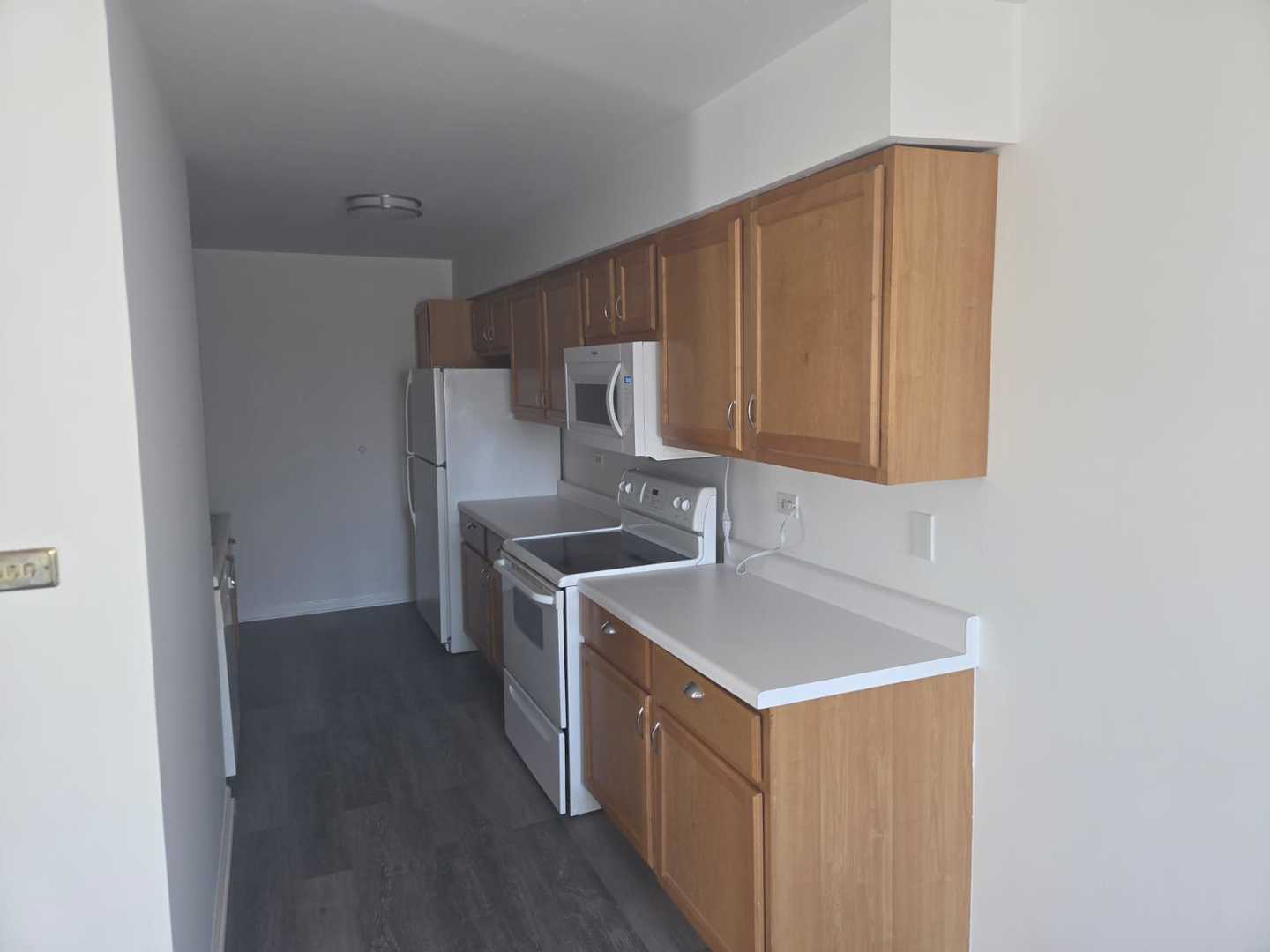 3360 184th St #1E Homewood, IL 60430