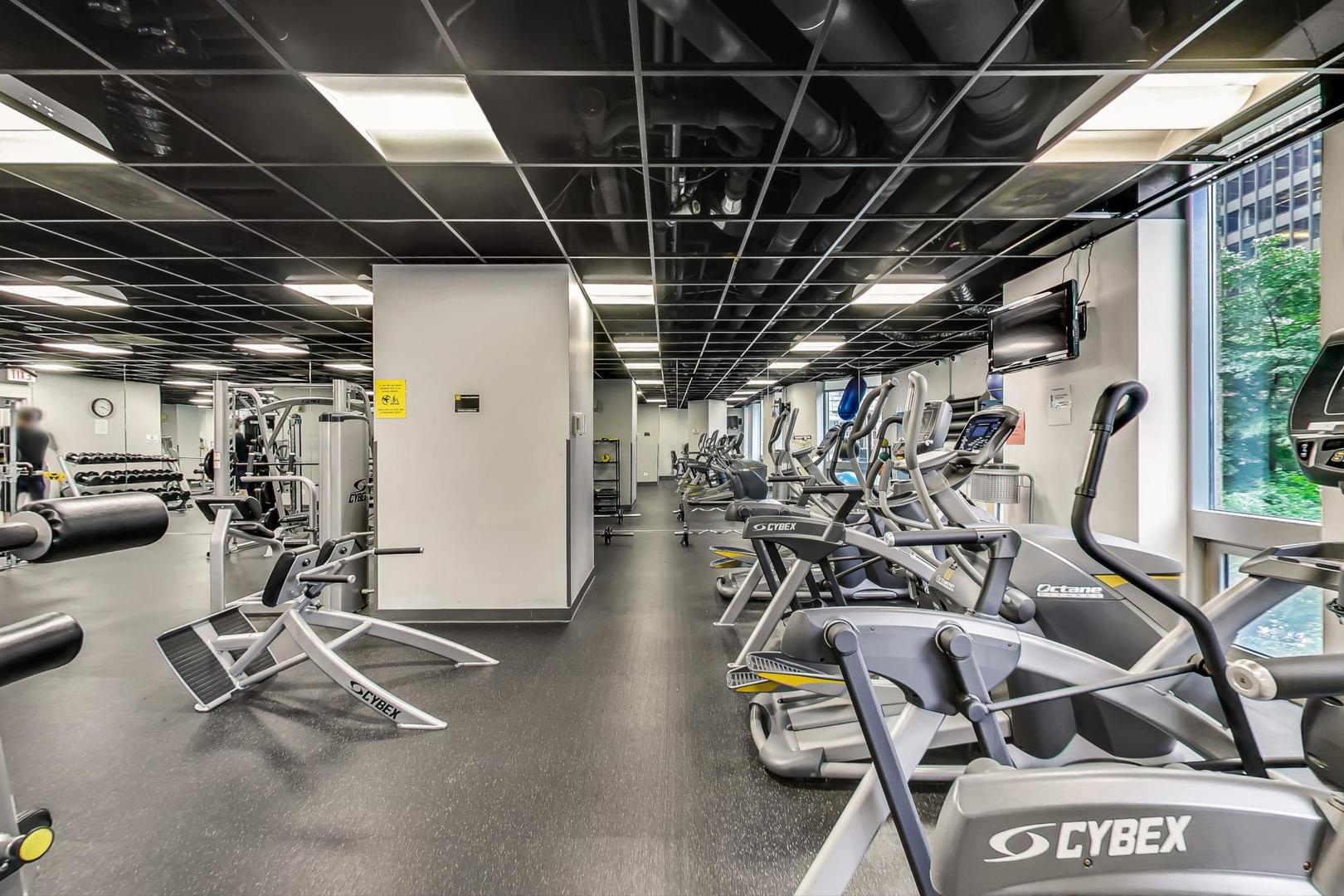 222 N Columbus Dr #1303 Chicago, IL 60601