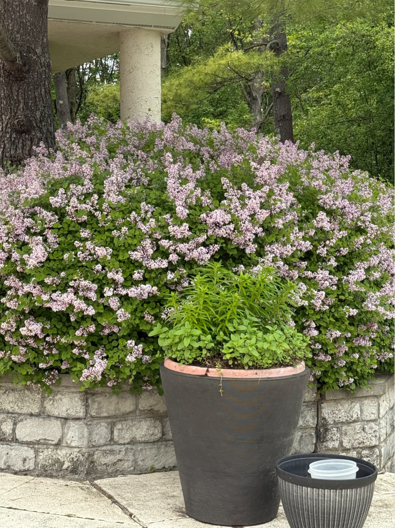 2705 Bentley Rd Highland Park, IL 60035