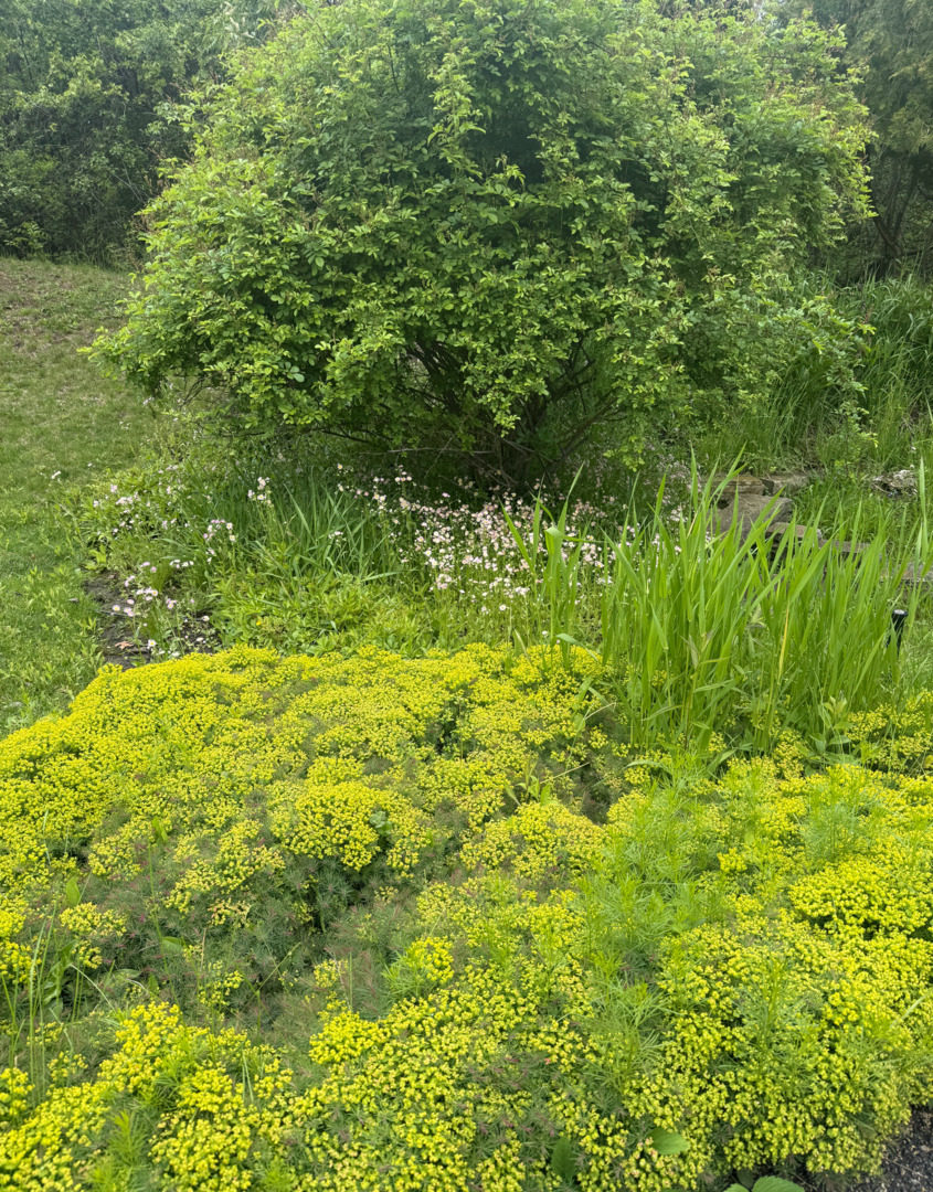 2705 Bentley Rd Highland Park, IL 60035