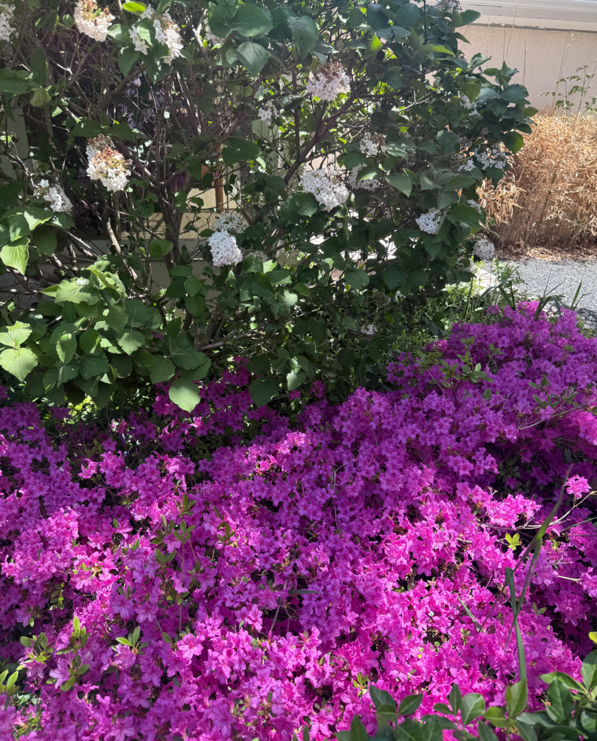 2705 Bentley Rd Highland Park, IL 60035