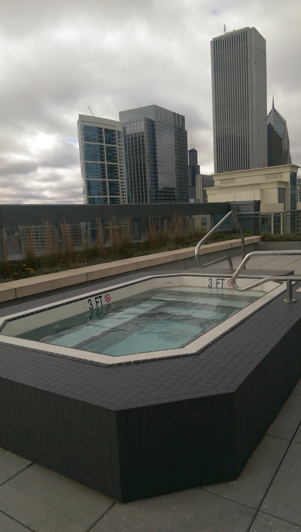 450 E WATERSIDE Dr #1310 Chicago, IL 60601