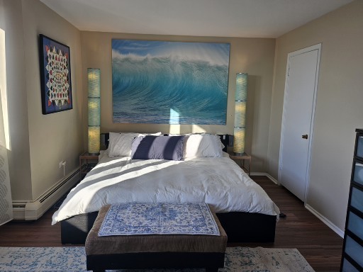 6325 N Sheridan Rd #1907 Chicago, IL 60660