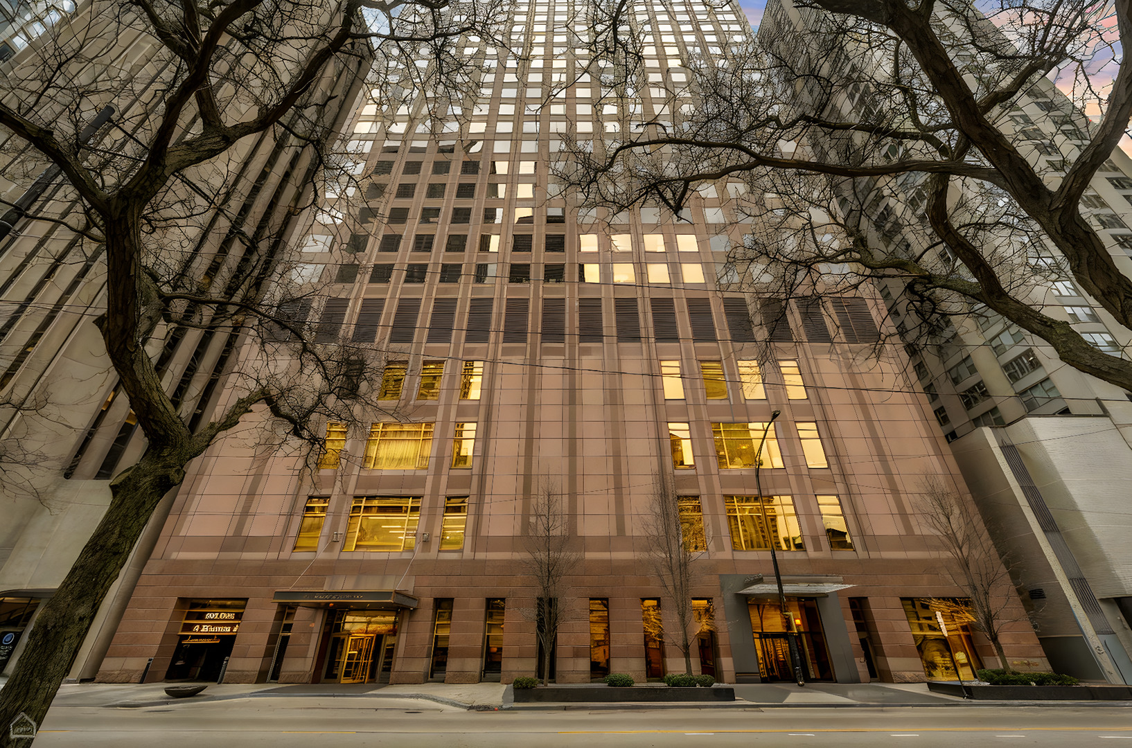 161 E Chicago Ave #49B
