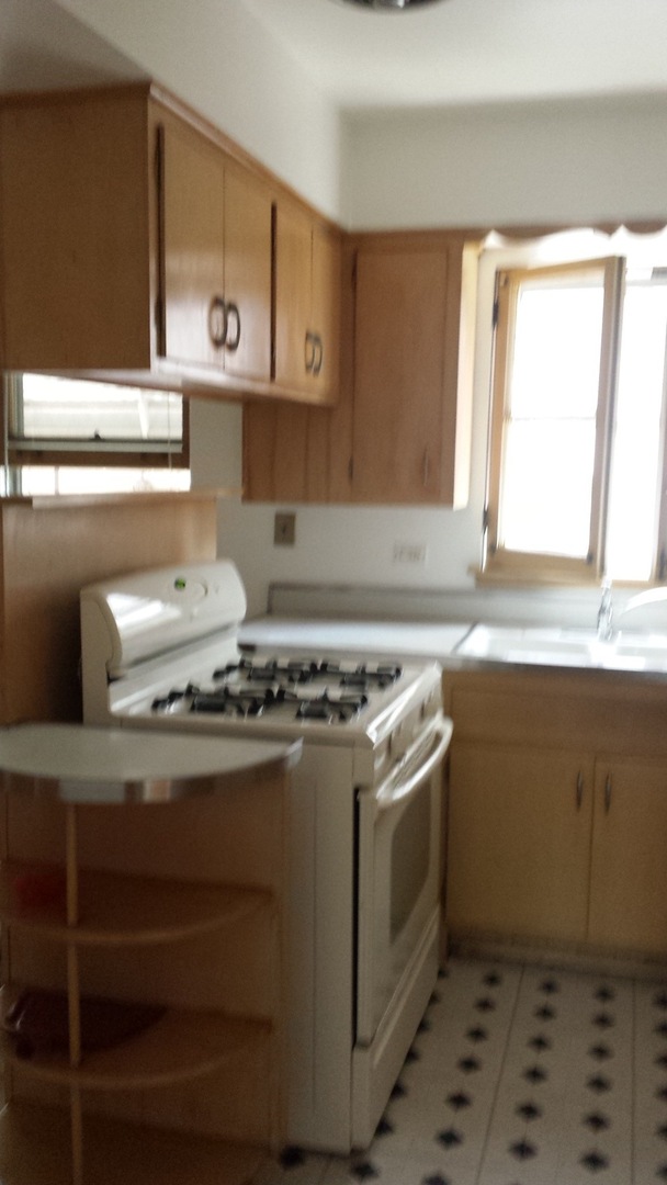 1135 S Oak Park Ave Oak Park, IL 60304