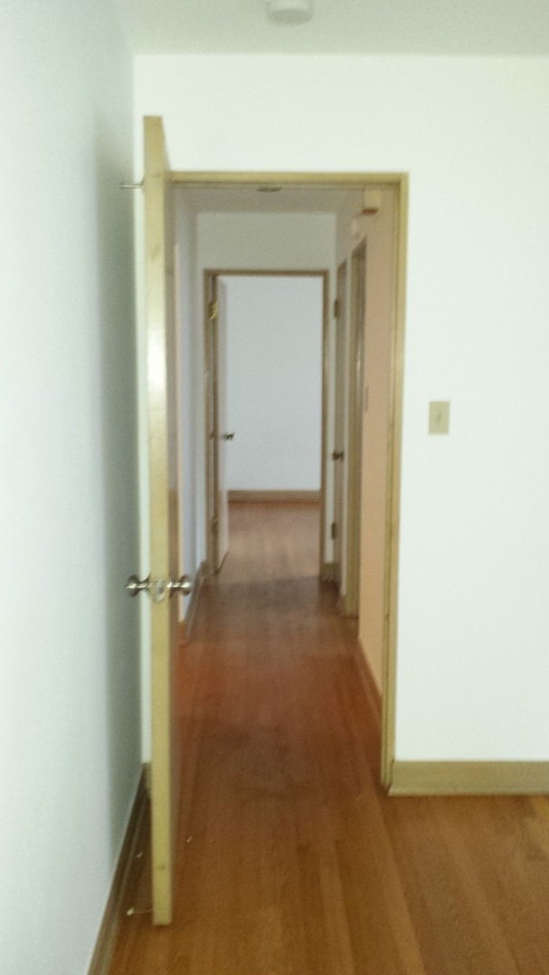 1135 S Oak Park Ave Oak Park, IL 60304