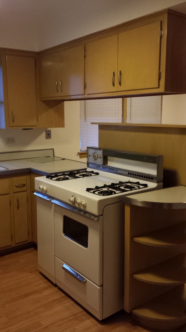 1135 S Oak Park Ave Oak Park, IL 60304