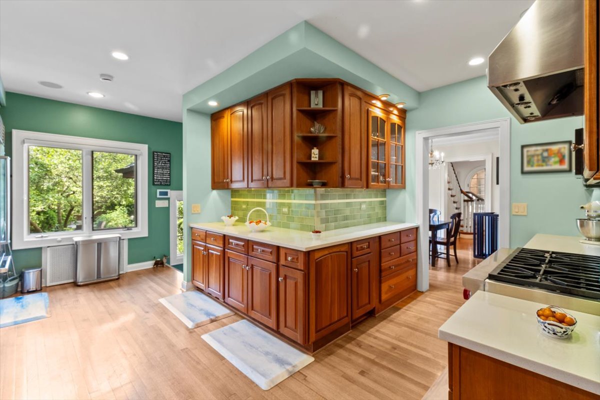 1143 Woodbine Ave Oak Park, IL 60302