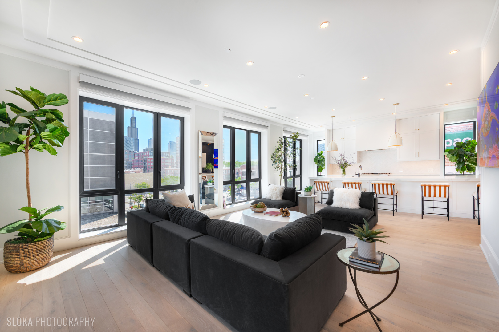 116 N Willard Ct #PH01 Chicago, IL 60607