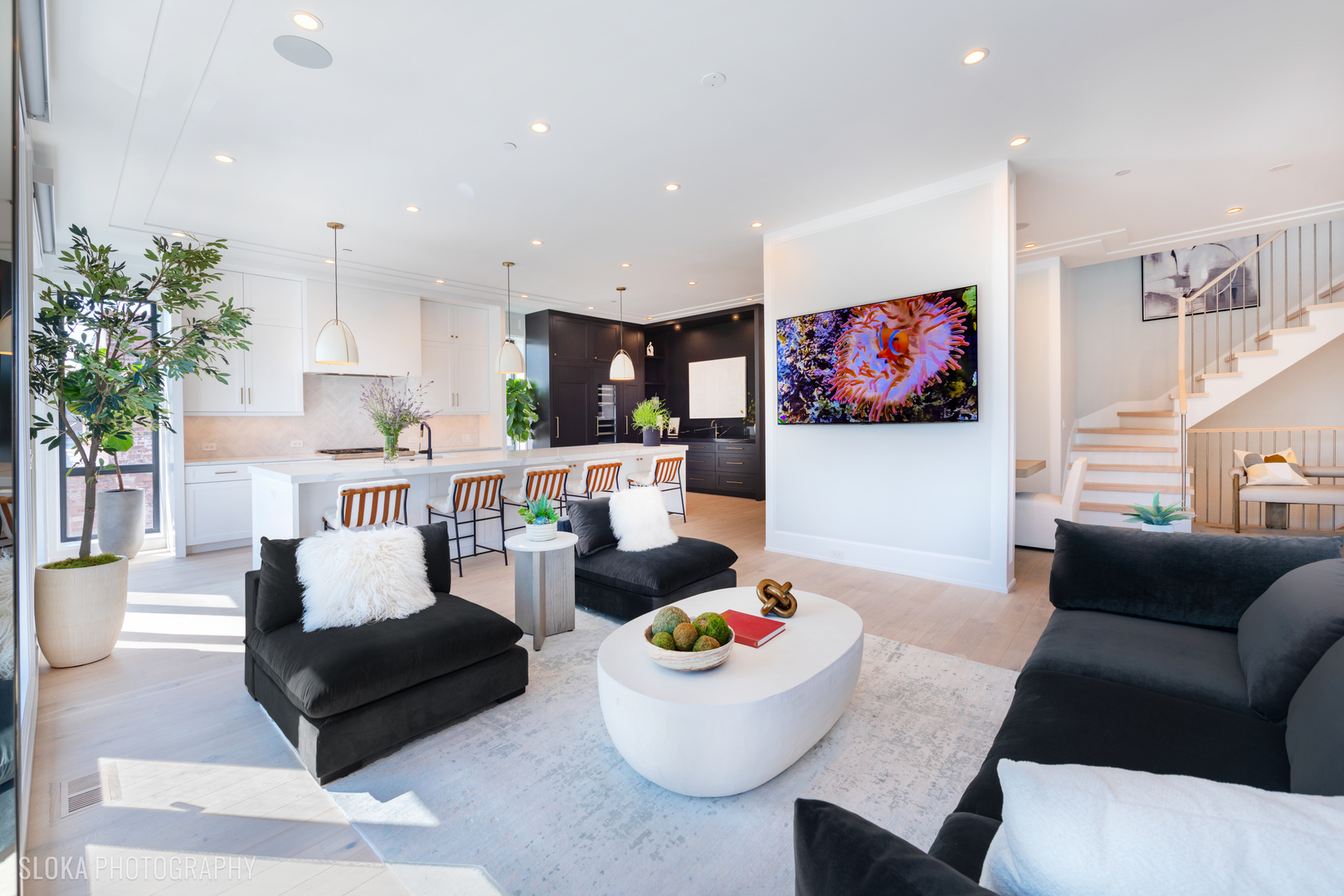 116 N Willard Ct #PH01 Chicago, IL 60607