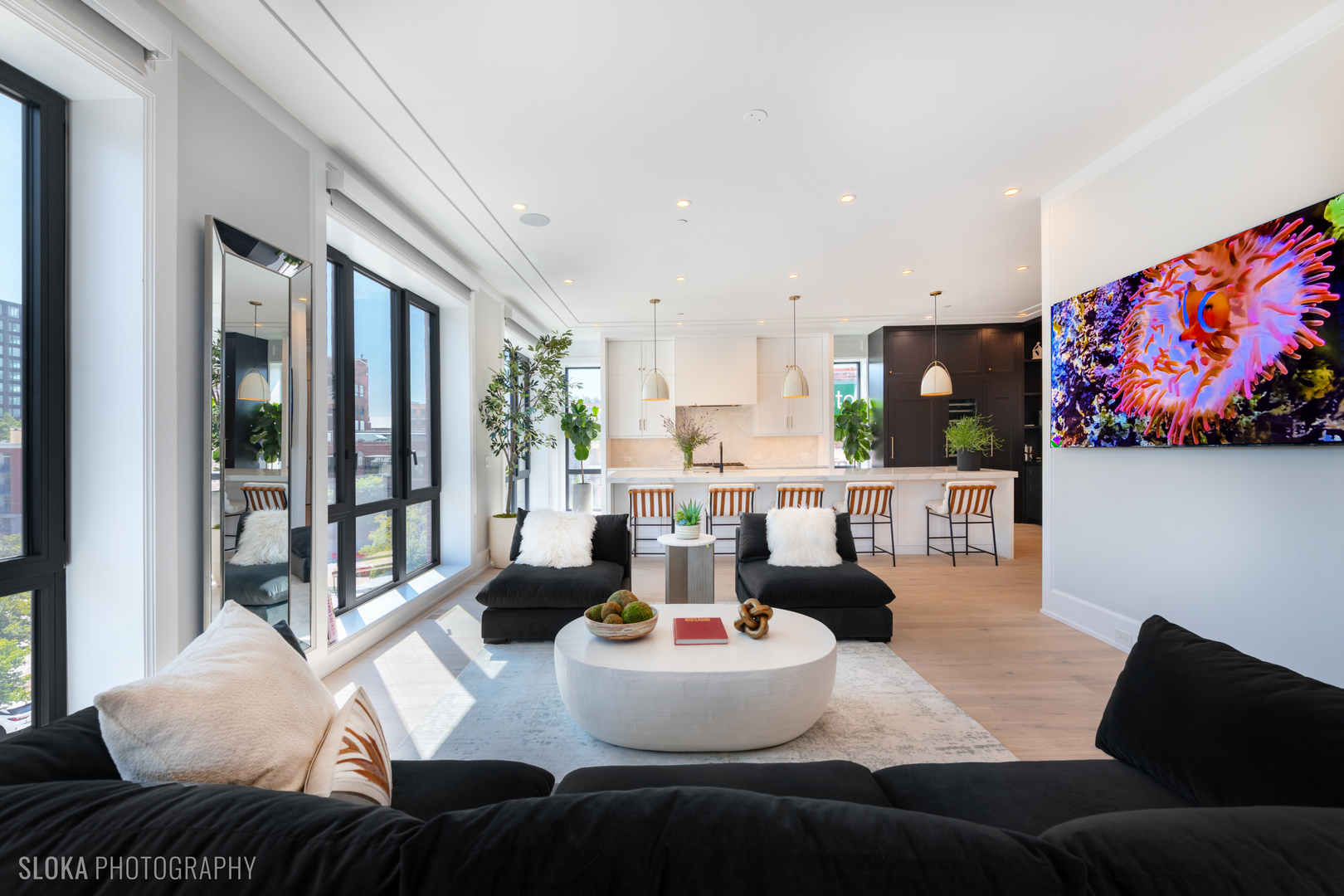 116 N Willard Ct #PH01 Chicago, IL 60607