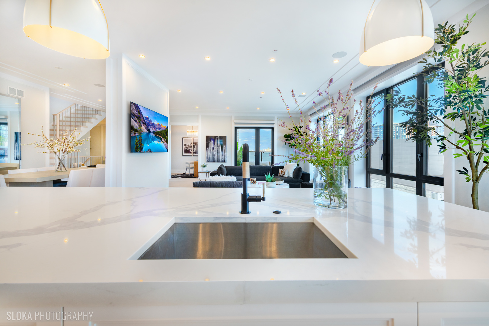 116 N Willard Ct #PH01 Chicago, IL 60607