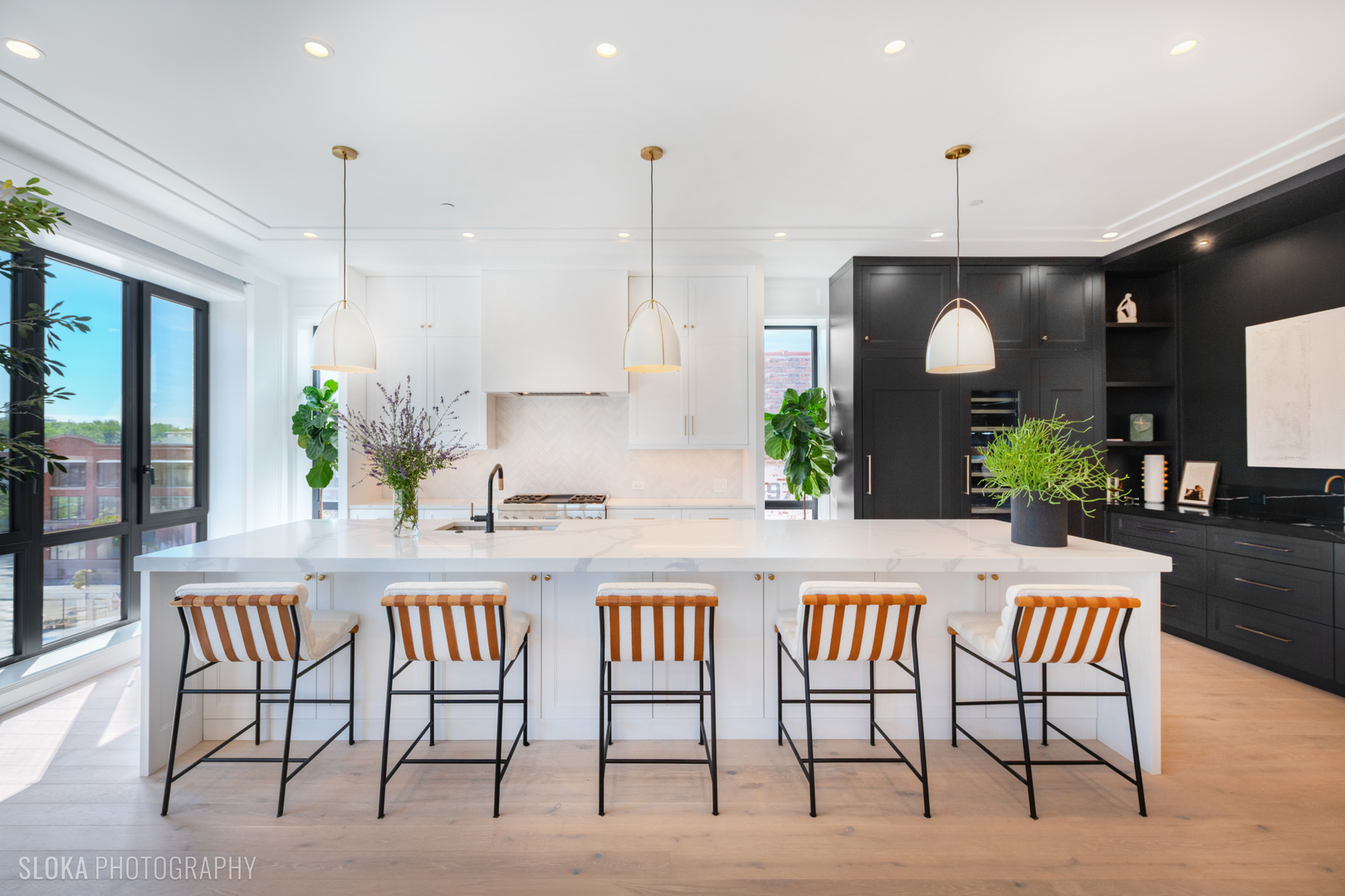 116 N Willard Ct #PH01 Chicago, IL 60607