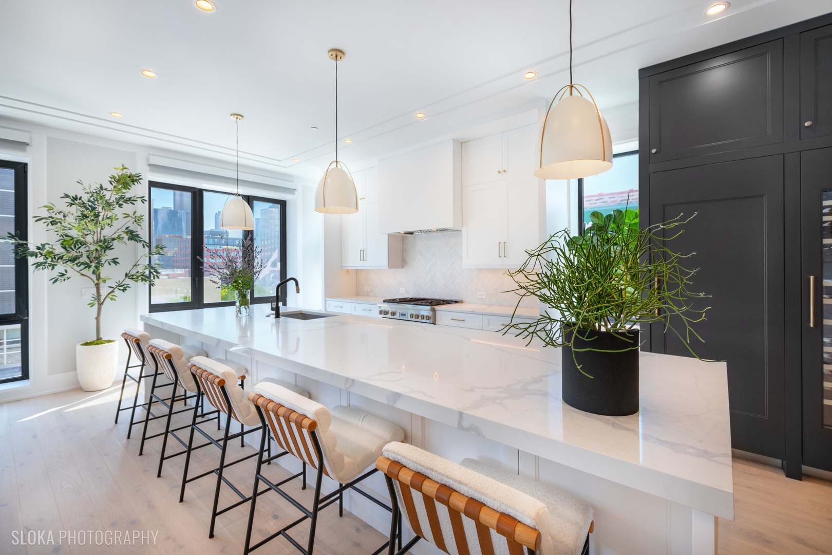 116 N Willard Ct #PH01 Chicago, IL 60607