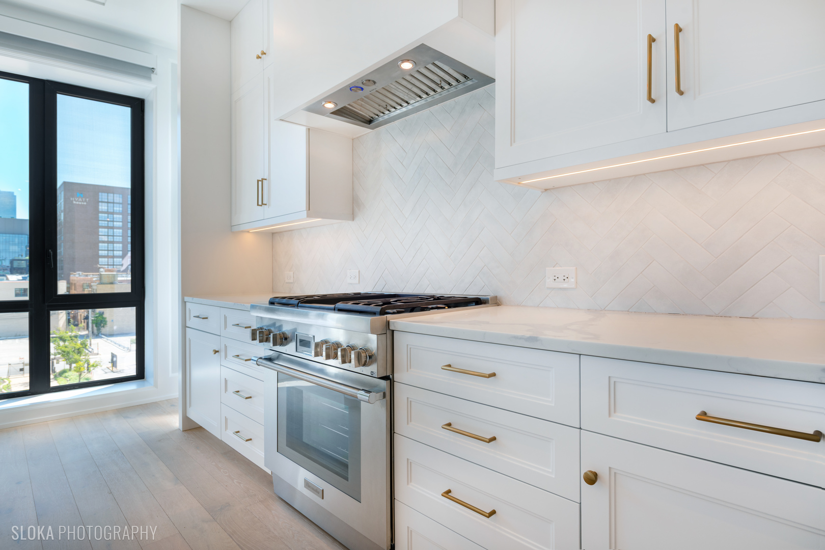 116 N Willard Ct #PH01 Chicago, IL 60607