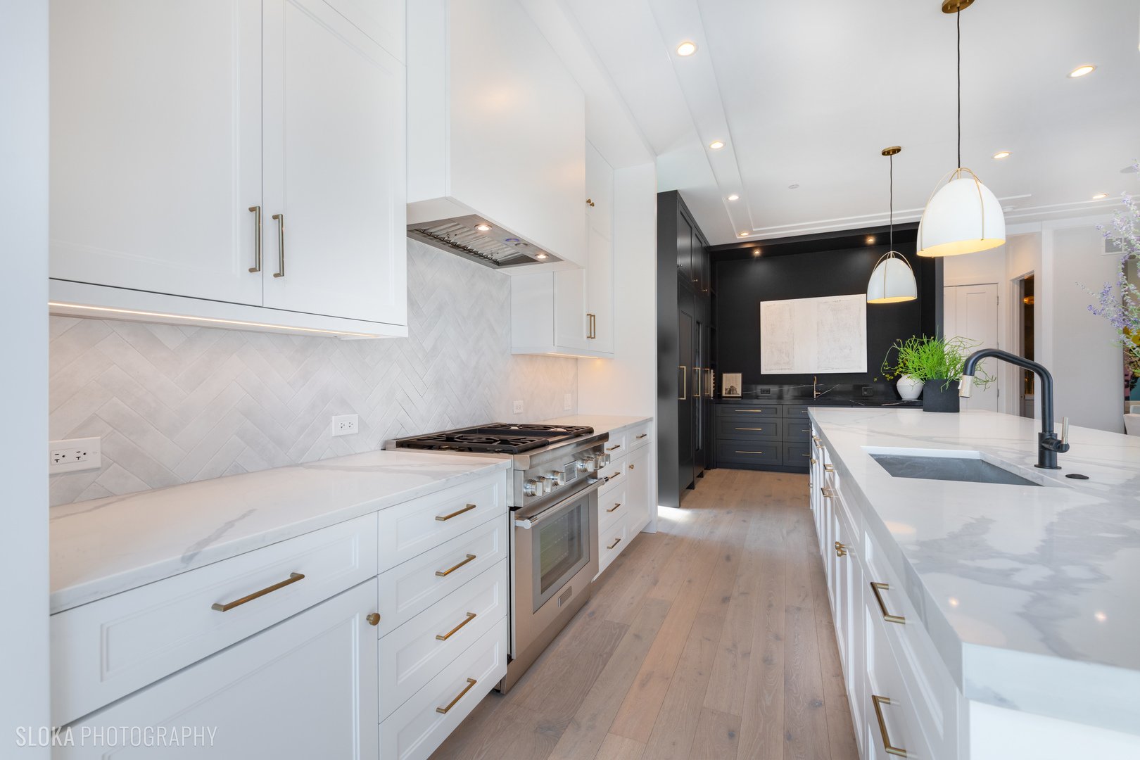 116 N Willard Ct #PH01 Chicago, IL 60607