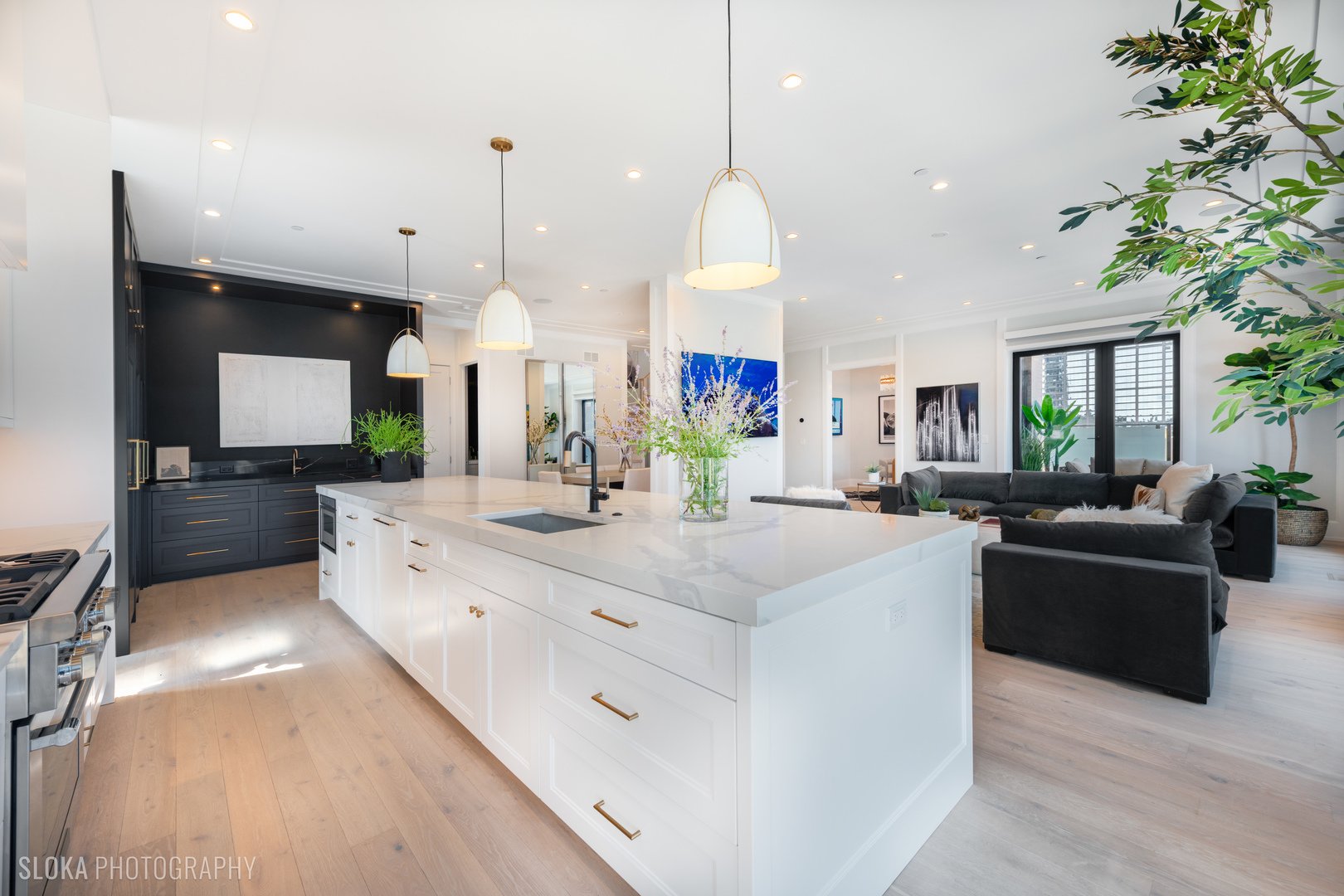 116 N Willard Ct #PH01 Chicago, IL 60607