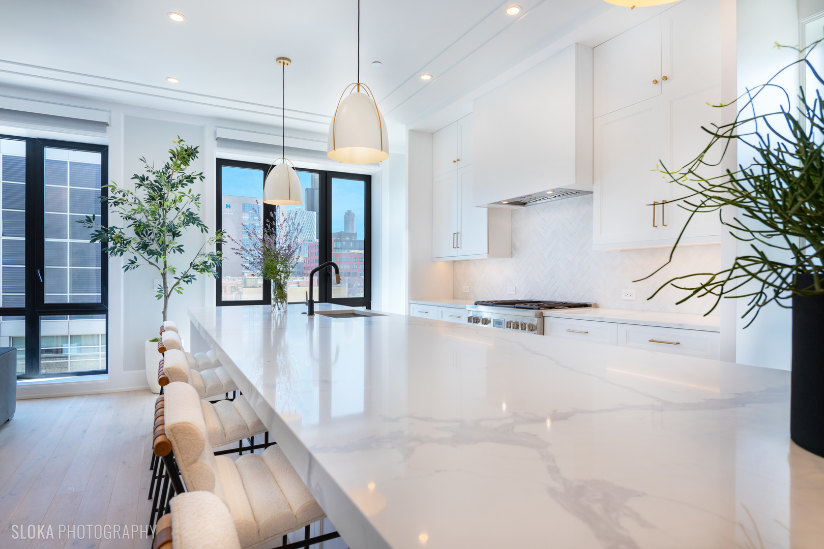 116 N Willard Ct #PH01 Chicago, IL 60607