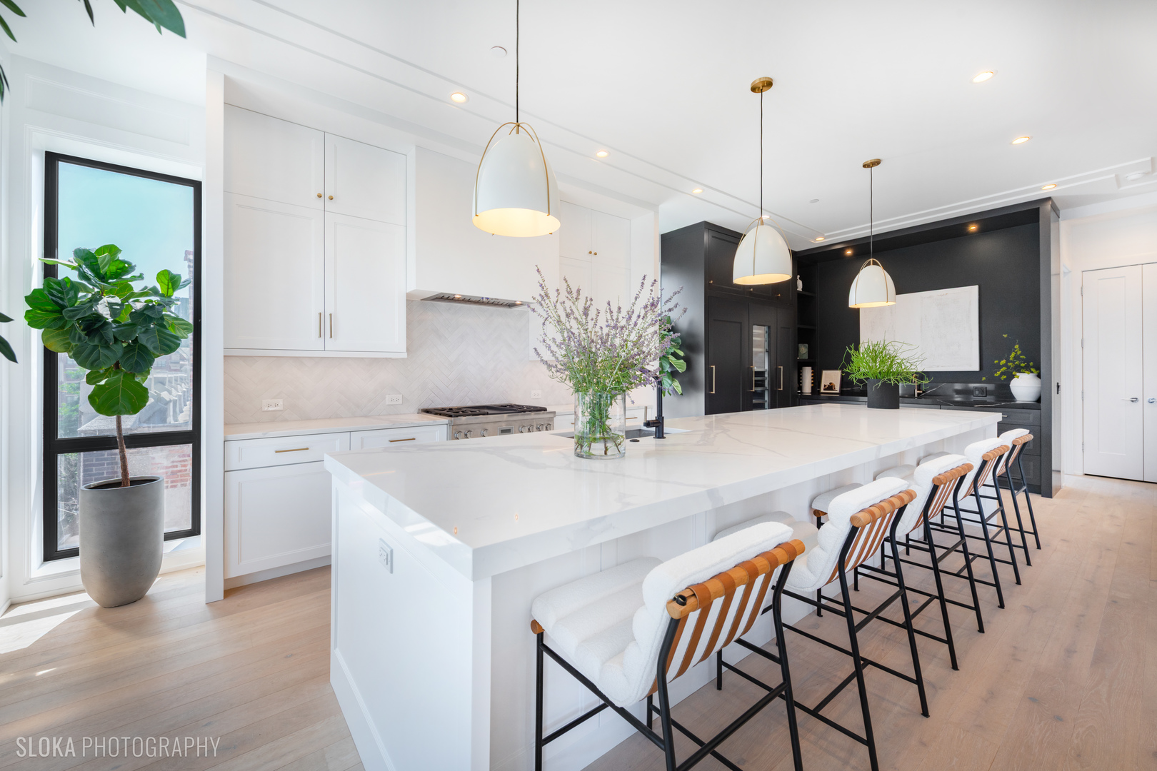 116 N Willard Ct #PH01 Chicago, IL 60607