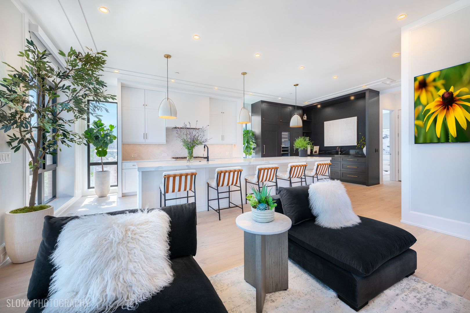 116 N Willard Ct #PH01 Chicago, IL 60607