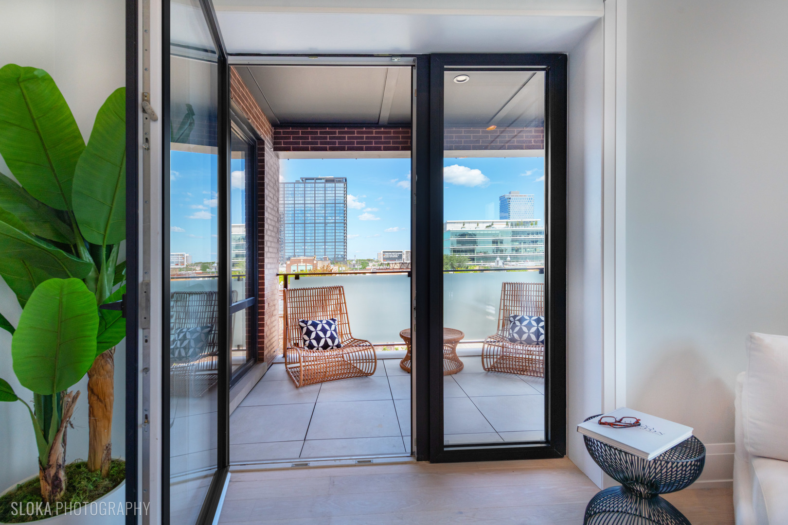 116 N Willard Ct #PH01 Chicago, IL 60607