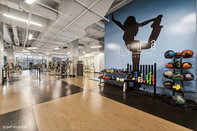 225 N Columbus Dr #5905 Chicago, IL 60601