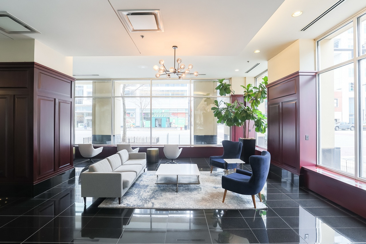 1250 S Michigan Ave #1209