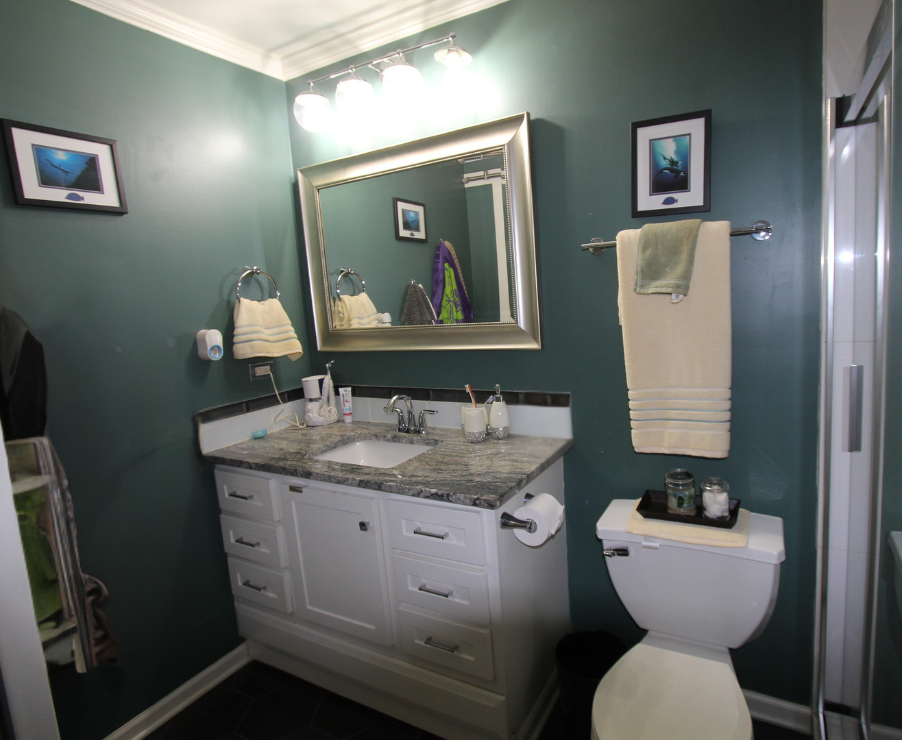 98 Wiltshire Ct Schaumburg, IL 60193