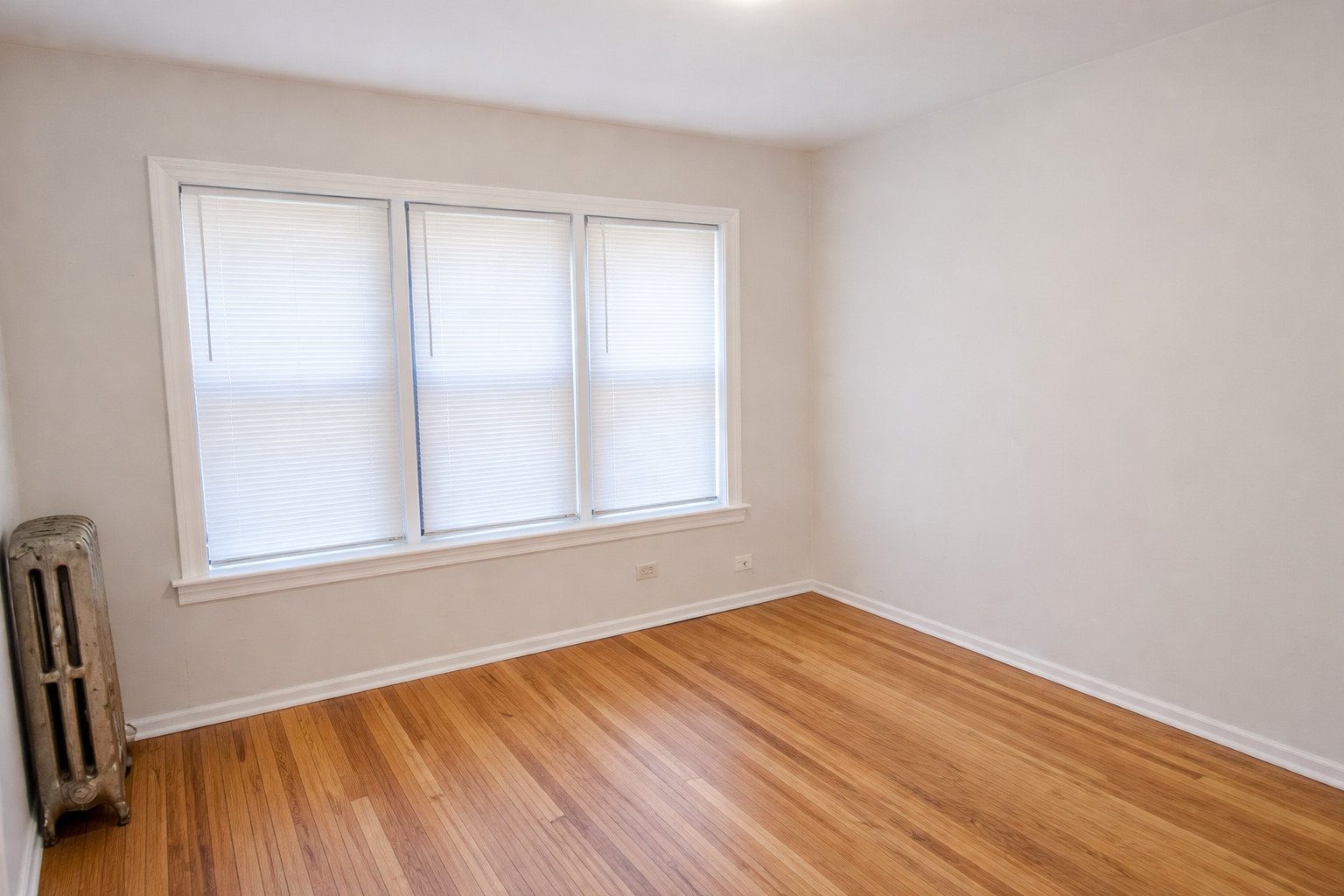 6700 S Merrill Ave #2W Chicago, IL 60649