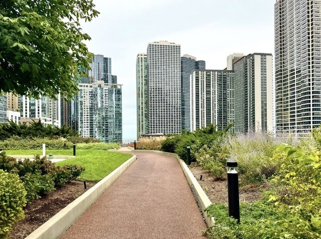 225 N Columbus Dr #7203 Chicago, IL 60601