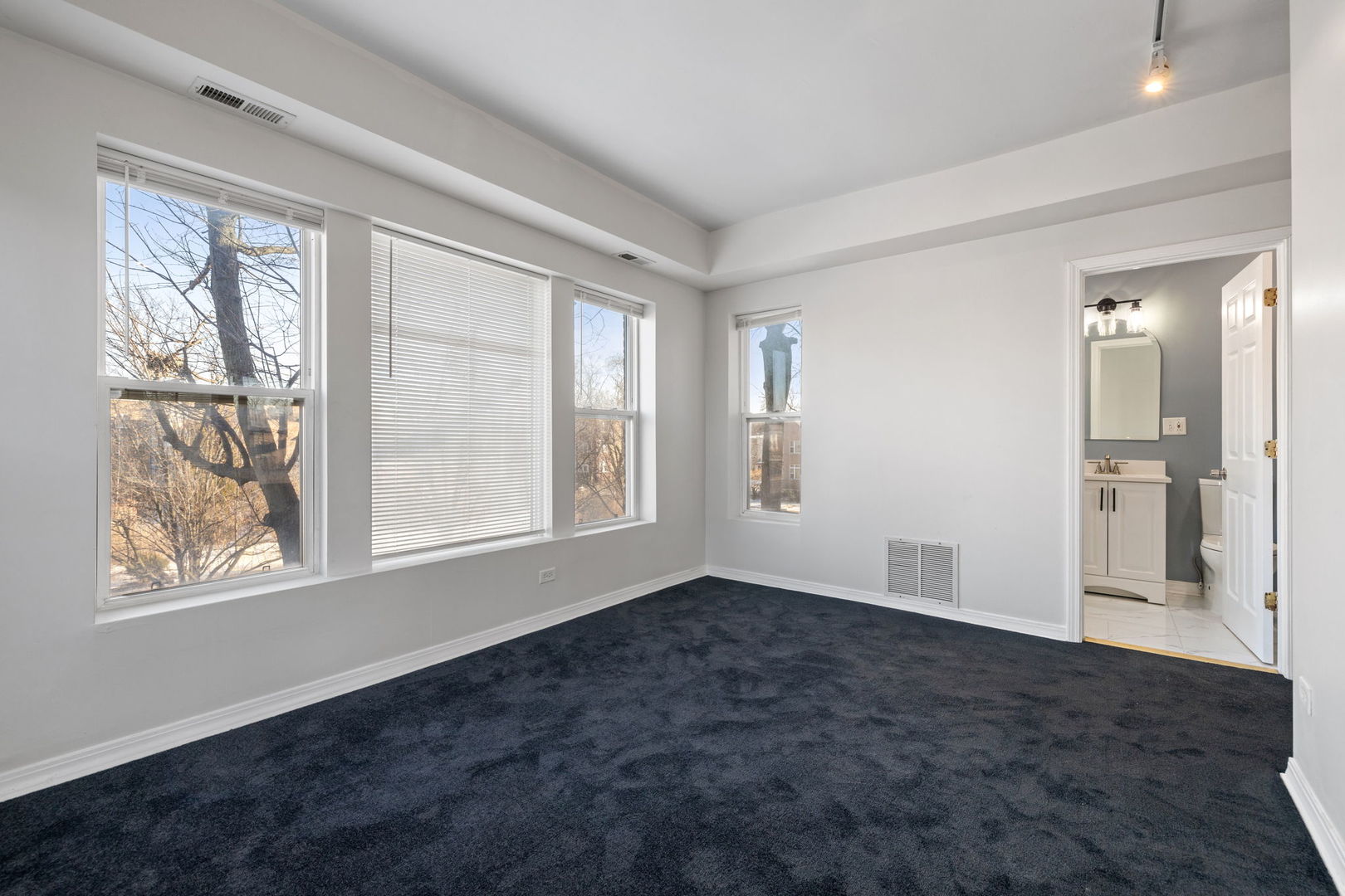 6850 S Dante Ave #2N Chicago, IL 60637