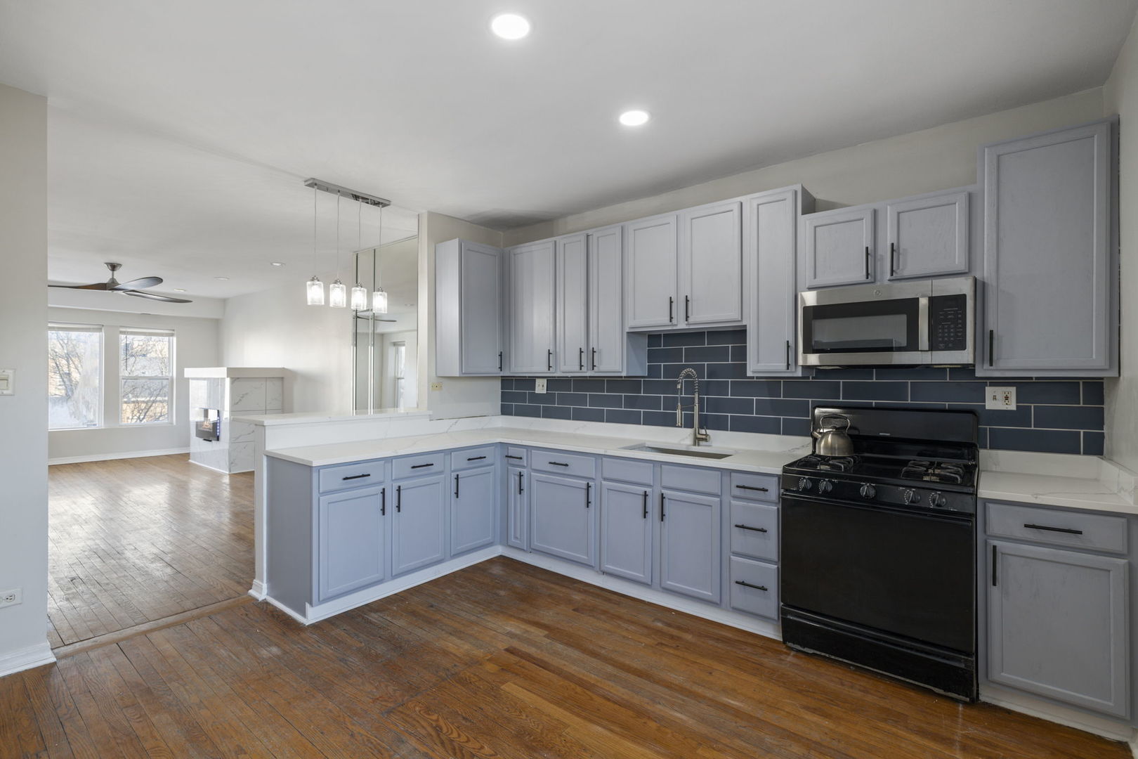 6850 S Dante Ave #2N Chicago, IL 60637