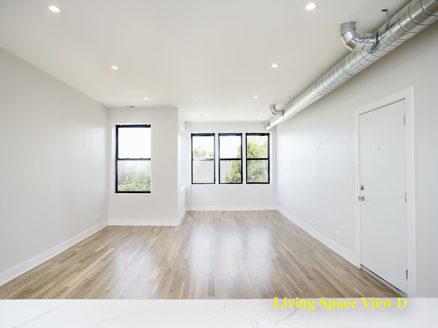 6103 S Kenwood St #3S Chicago, IL 60637