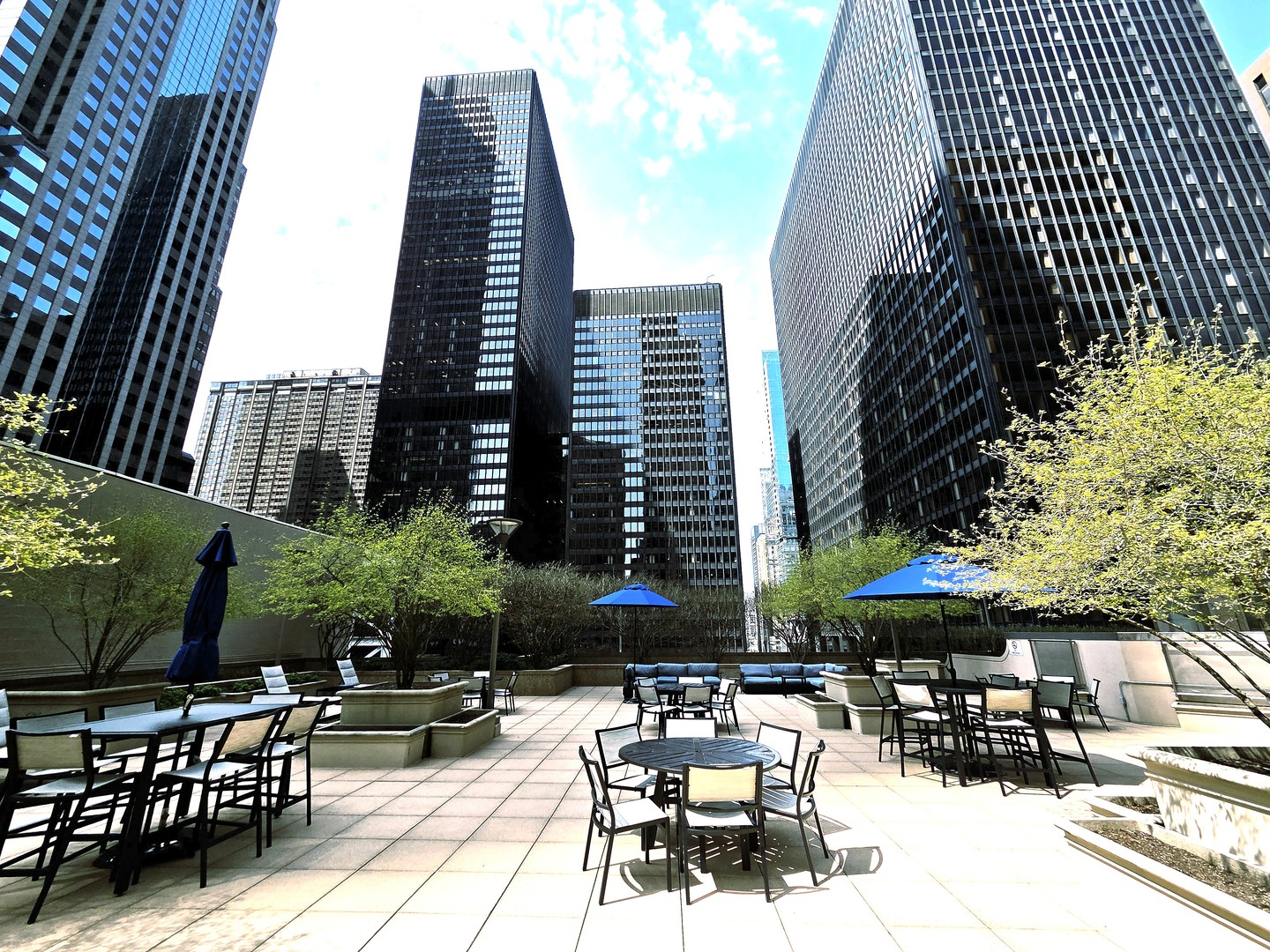 222 N Columbus Dr #1003 Chicago, IL 60601