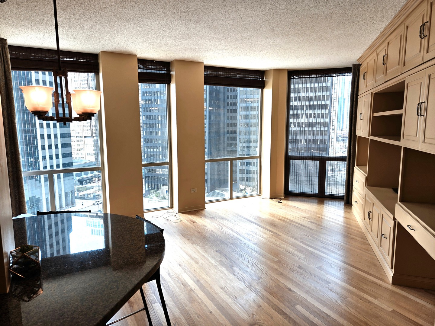 222 N Columbus Dr #1003 Chicago, IL 60601