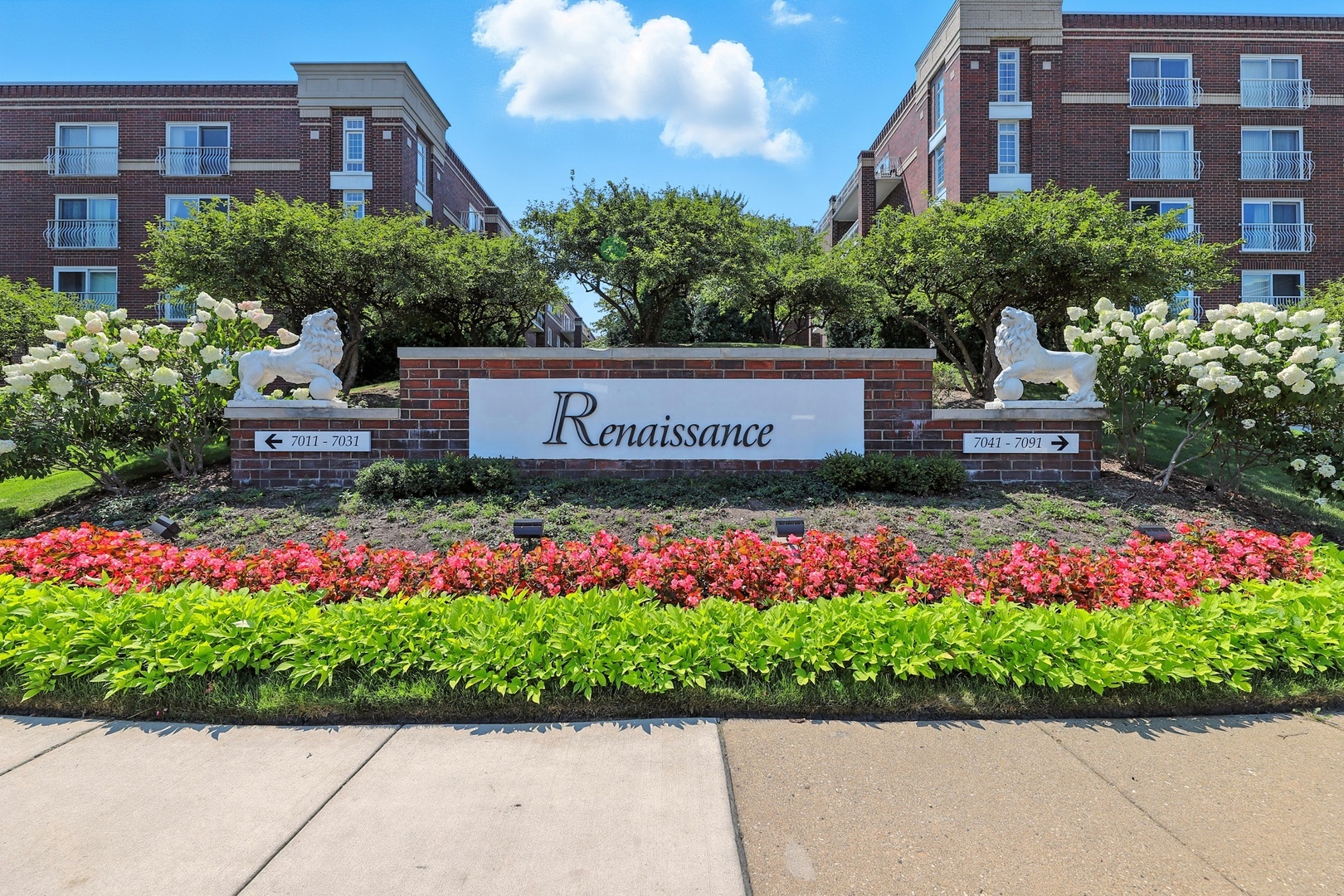 7091 W Touhy Ave #505 Niles, IL 60714