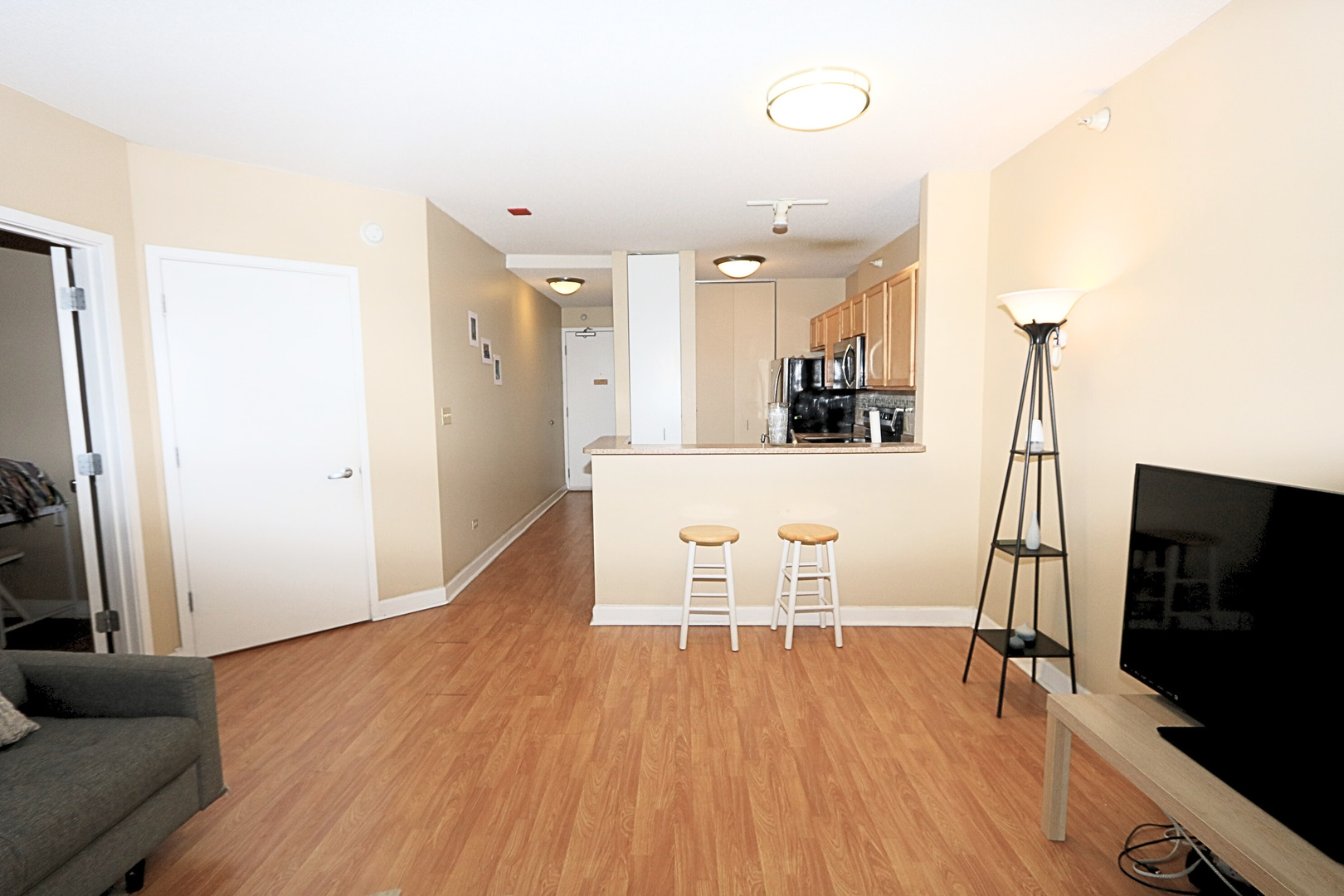 222 N Columbus Dr #1705 Chicago, IL 60601