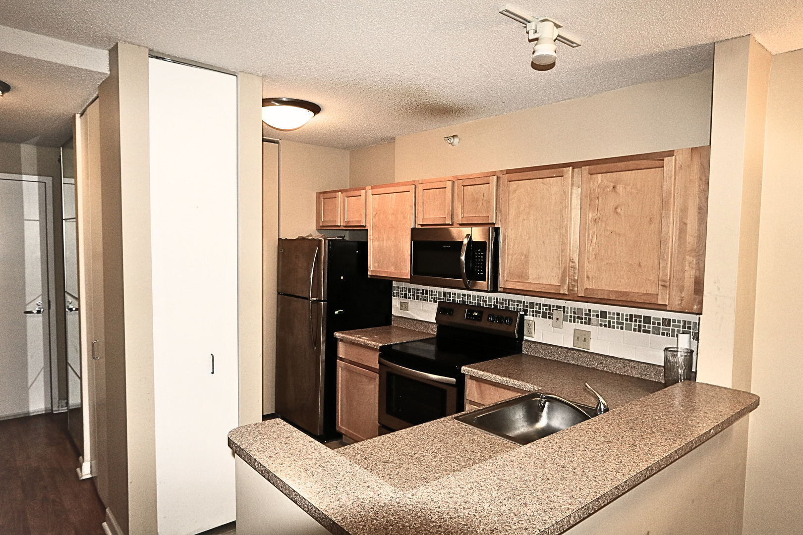 222 N Columbus Dr #1705 Chicago, IL 60601