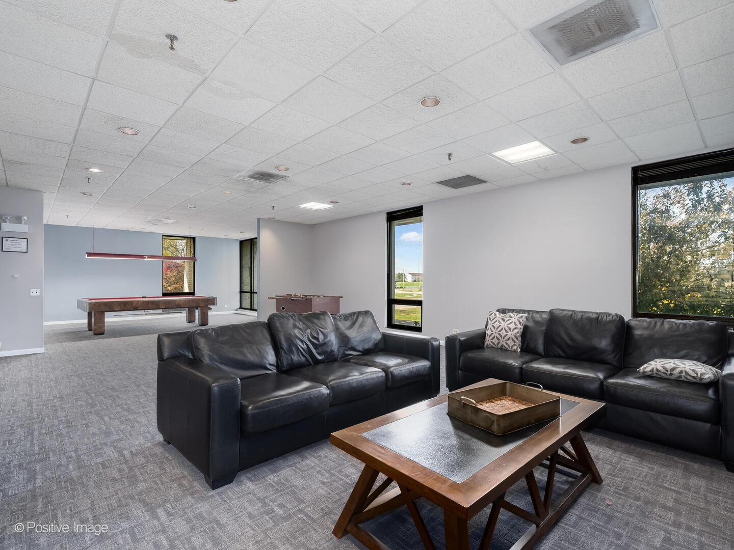 9098 W Ter Dr #1L Niles, IL 60714