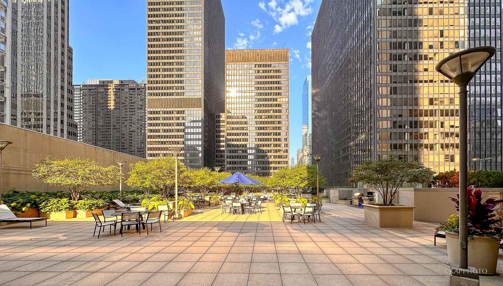 222 N Columbus Dr #2808 Chicago, IL 60601