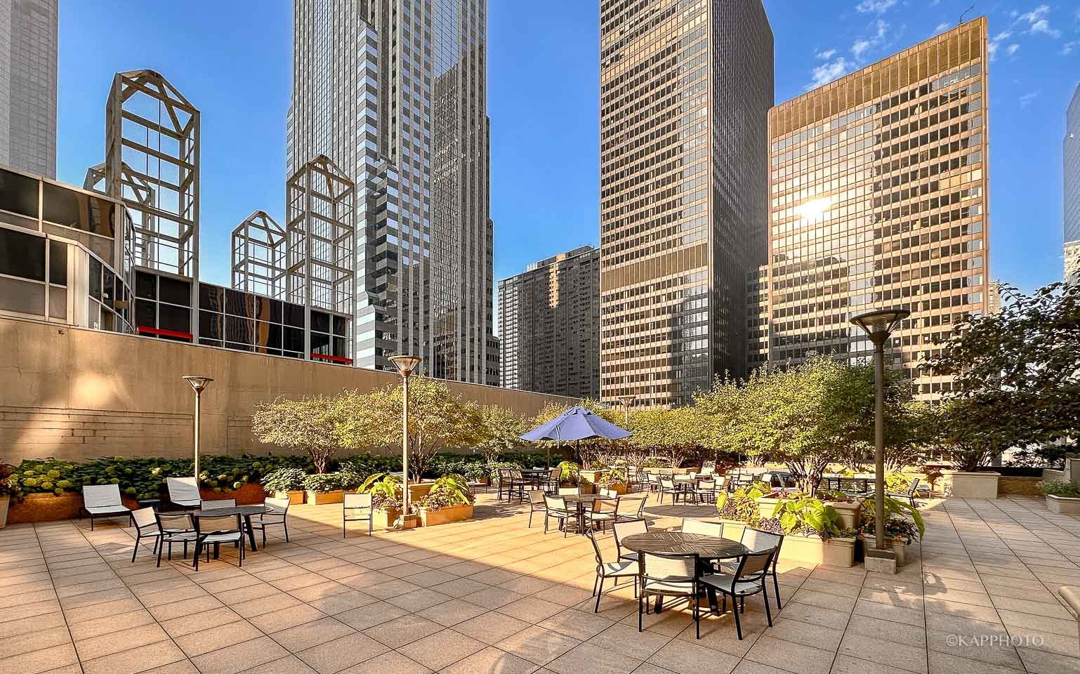 222 N Columbus Dr #2808 Chicago, IL 60601