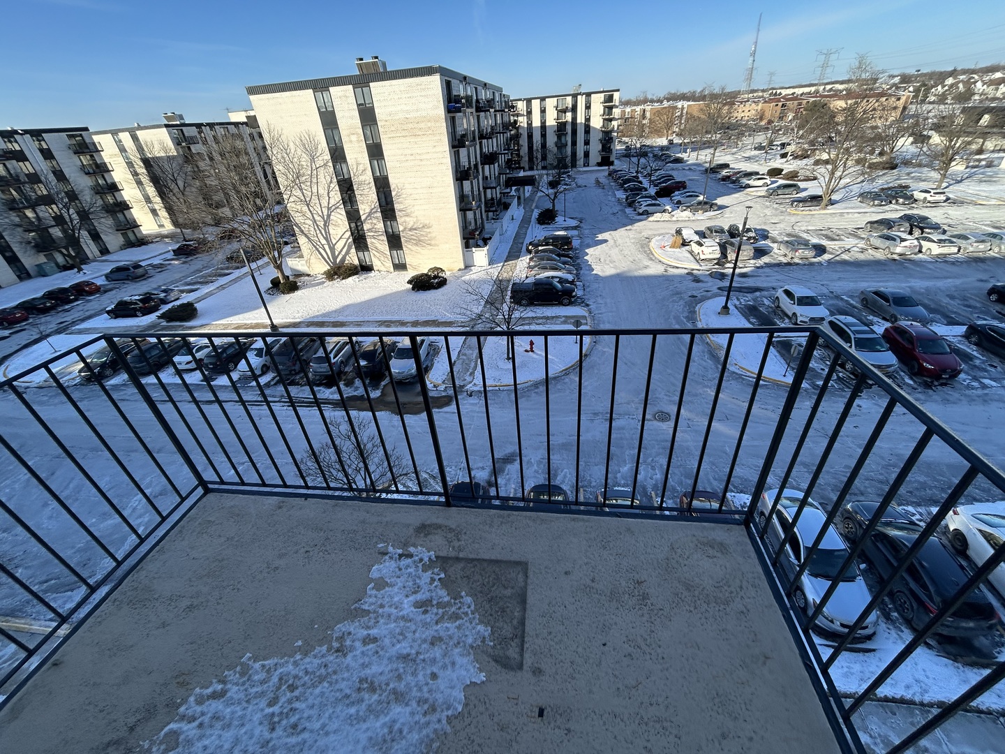 9731 N Fox Glen Dr #5C Niles, IL 60714