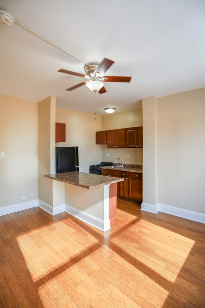 5326 S cornell Ave #411 Chicago, IL 60615