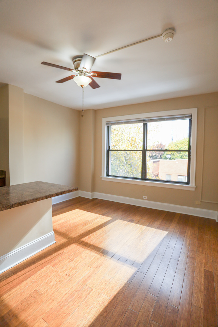 5326 S cornell Ave #411 Chicago, IL 60615