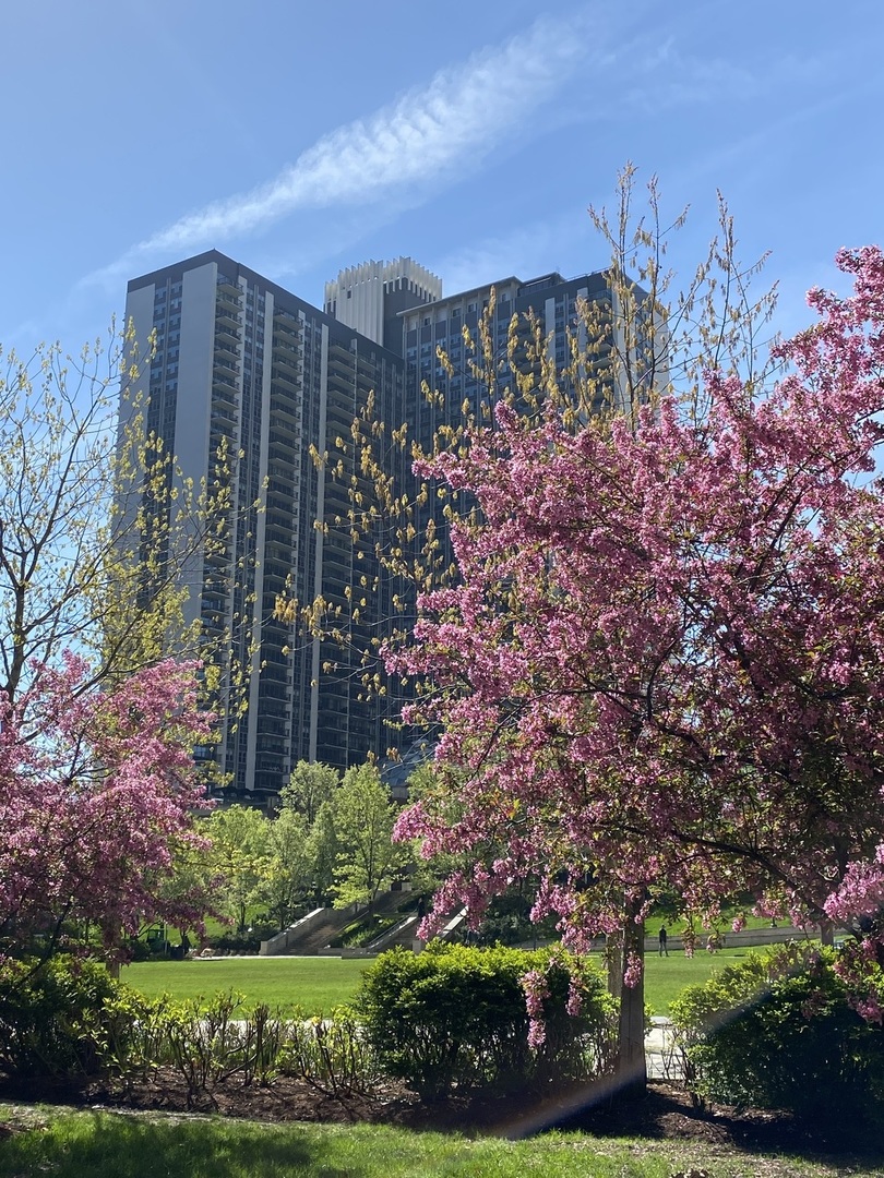 400 E Randolph St #3726