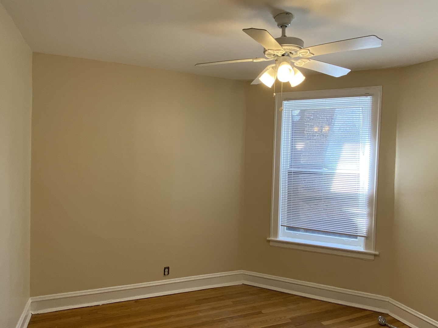 737 Clarence Ave Oak Park, IL 60304