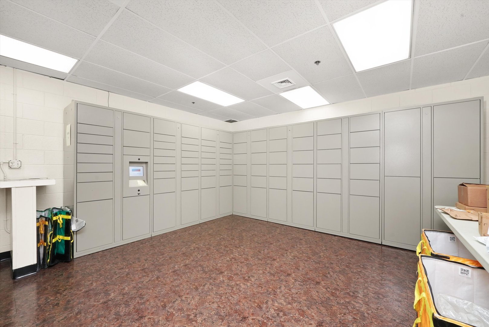 40 E 9TH St #707 Chicago, IL 60605