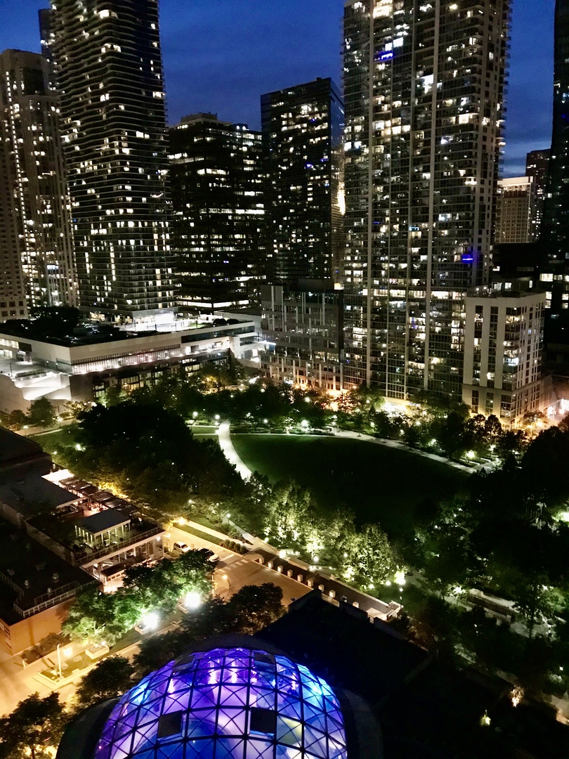 400 E Randolph St #3628 Chicago, IL 60601