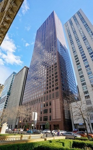161 E Chicago Ave #31B